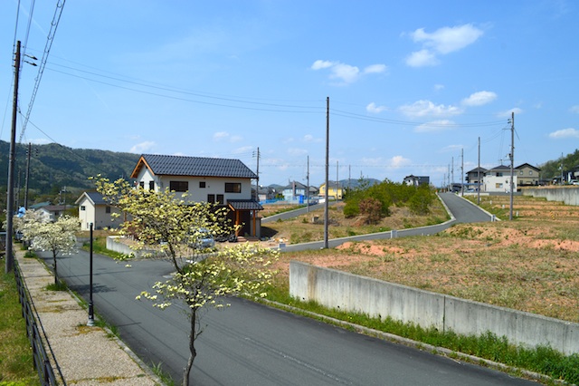 のぞみ坂の街路樹