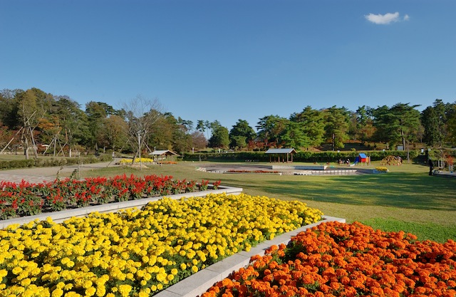 丹波自然運動公園