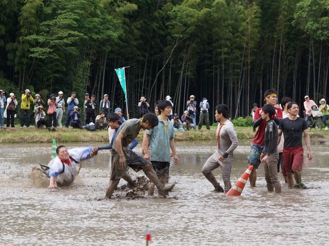 大田動会