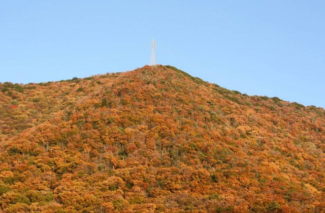 陶の郷紅葉